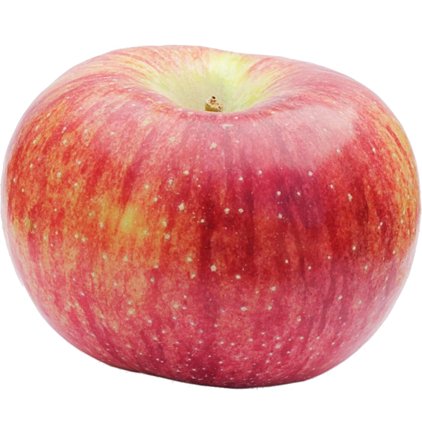 New York Cortland Apples - Landau's - Kosher Grocery Delivery in